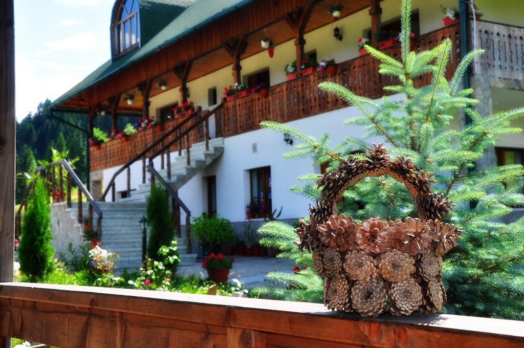 Conacul Domnitei Hotel Voroneț Exterior foto